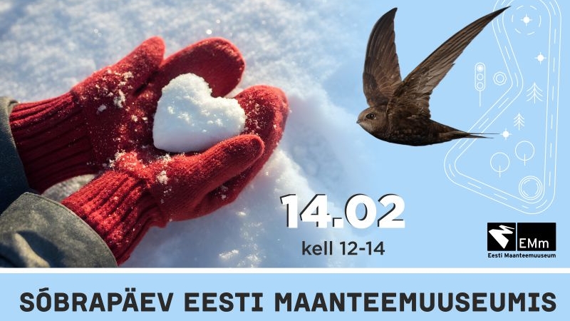 bänner 800x500 px Sõbrapäev.jpg